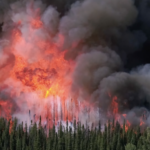 A blazing wildfire